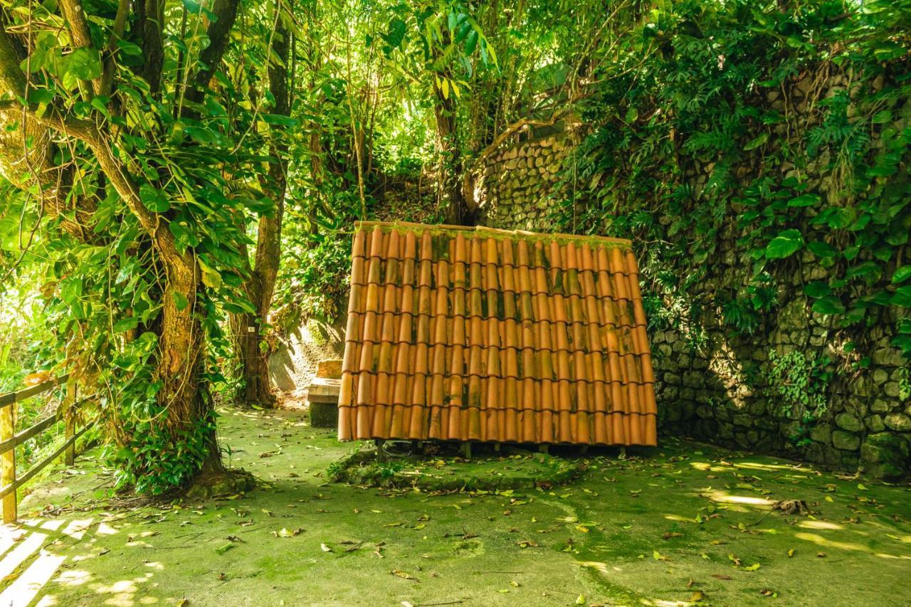 Fazenda Alegria & Aventura * Rio de Janeiro