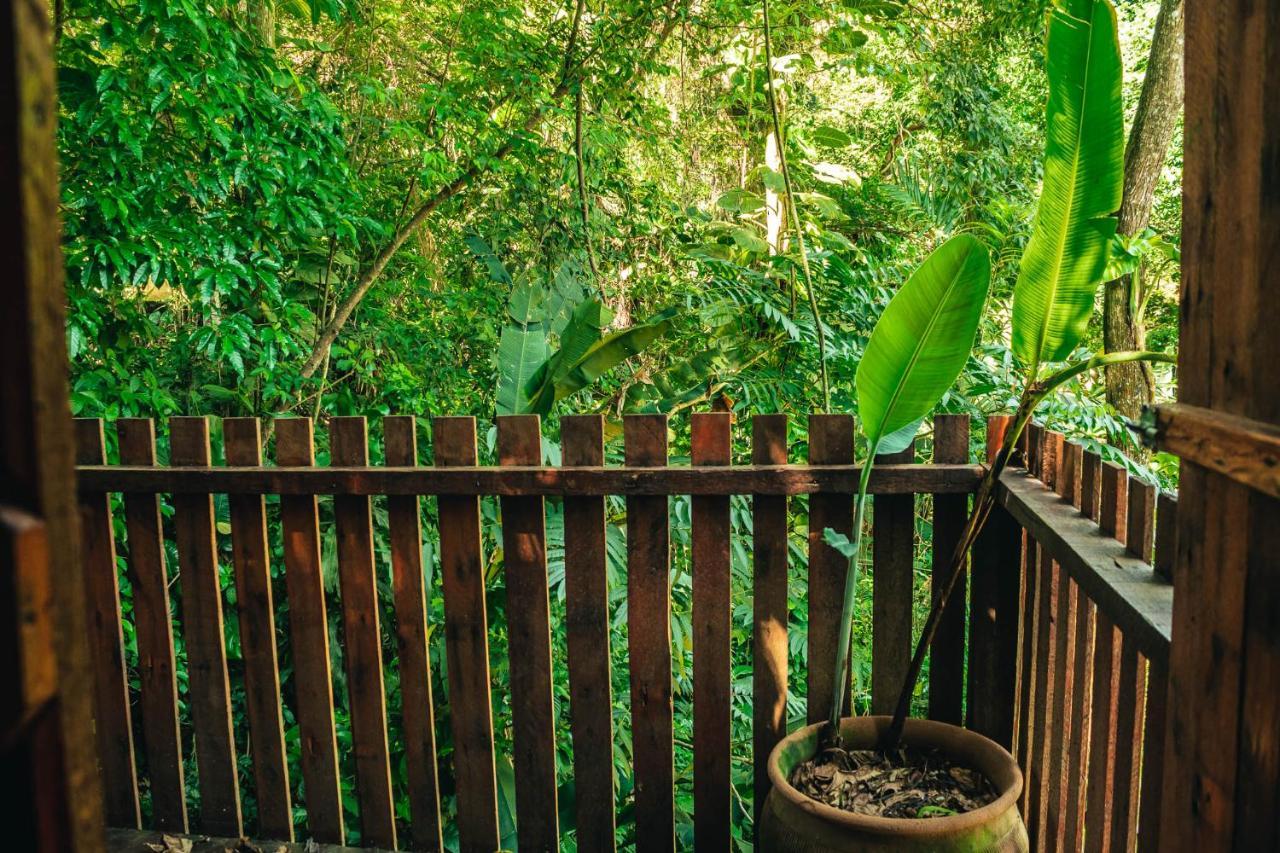 Fazenda Alegria & Aventura Acampamento