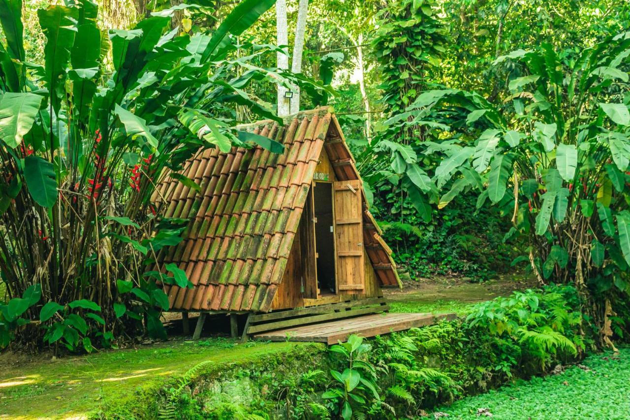 Fazenda Alegria & Aventura Acampamento Rio de Janeiro